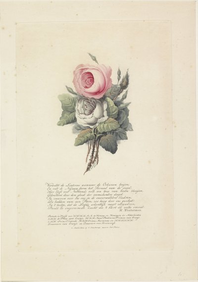 Rosas com retratos de silhueta de Guilherme I Frederick, rei dos Países Baixos, Wilhelmina da Prússia, os seus filhos, a sua mãe e a sua irmã de Evert Maaskamp