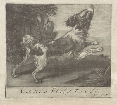 Cão saltador
Canis Venaticus (título sobre o objecto) de Evert van Sweinen