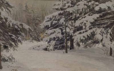 Inverno nas ilhas de São Petersburgo, 1912 de Evgeni Ivanovich Stolitsa