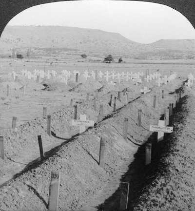 Virgin Cemetery, Ladysmith, Natal, África do Sul. de Excelsior Stereoscopic Tours