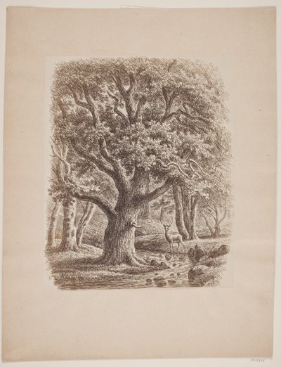 Interior da floresta com um riacho e um veado de F.C. Kiærskou