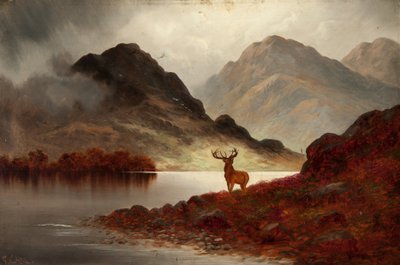 Stag at Bay (óleo sobre tela) de F. Carl