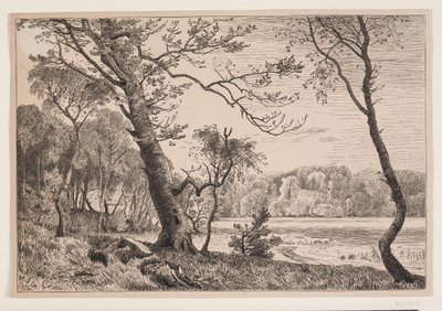 O bosque em Silkeborg contra Fruens Bænk de F. Hendriksen