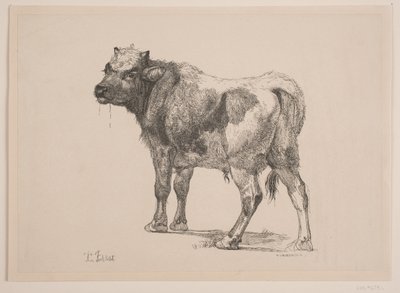 Bezerro de pé de F. Hendriksen