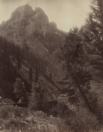 Sem título, c. 1884. de F. Jay Haynes