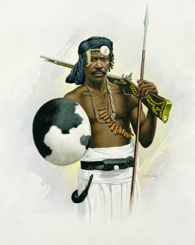 Guerreiro Sakalava de F. Ralambo
