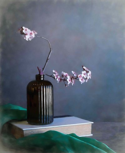 Delicadas flores primaveris de Fangping Zhou