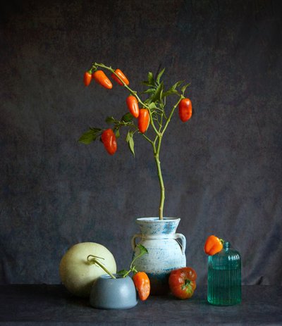Natureza-morta rústica com tomates cor de laranja de Fangping Zhou