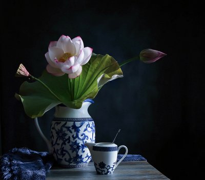 Arranjo sereno de lótus de Fangping Zhou