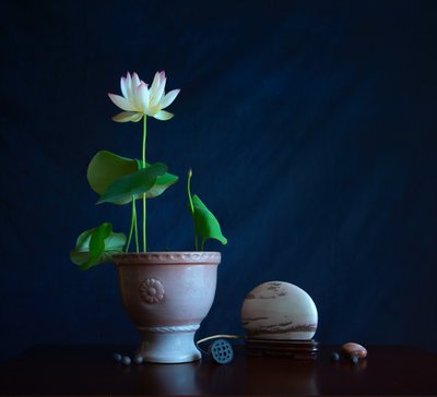 Natureza-morta com lótus zen de Fangping Zhou