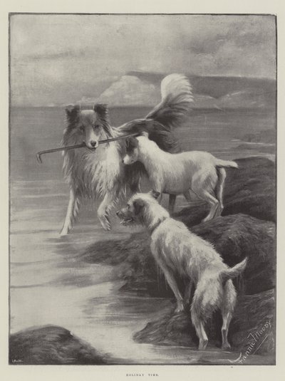 Tempo de férias de Fannie Moody