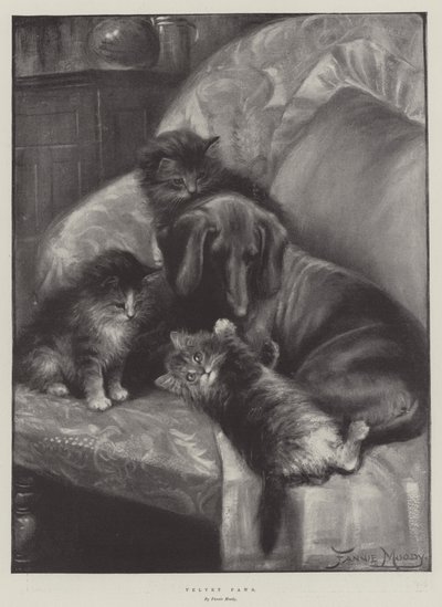 Patas De Veludo de Fannie Moody