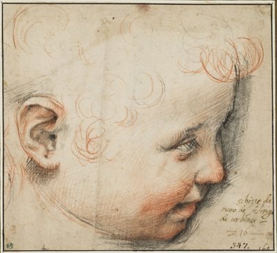 Cabeça de criança de perfil; talvez para o Menino Jesus de Federico Barocci