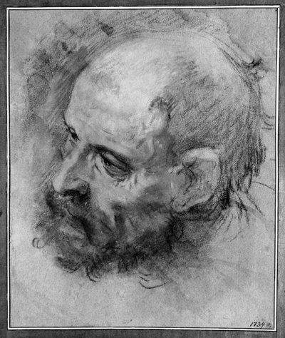 Estudo de cabeça de um homem barbudo virado para a esquerda e inclinado para o lado de Federico Barocci
