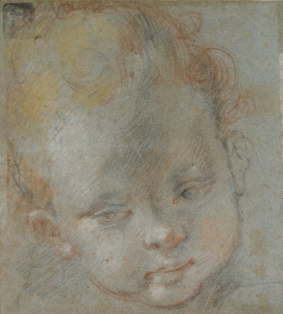 Cabeça de uma criança, final do século 16 de Federico Barocci