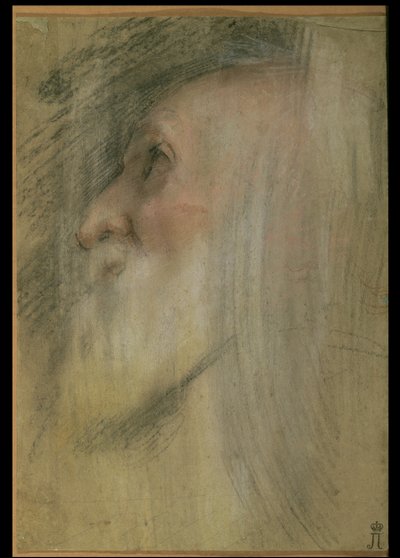Cabeça de um homem velho no perfil, c.1575-9 (pastel, giz preto e otimista) de Federico Barocci