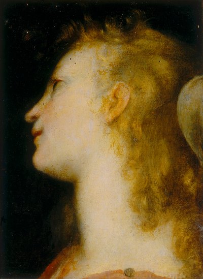 Cabeça de um anjo de Federico Barocci