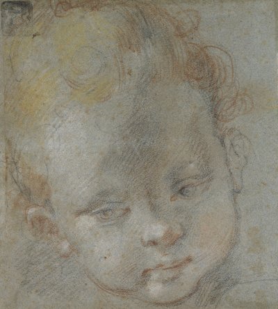 Recto: Cabeça de uma Criança (giz preto, vermelho, branco, rosa e amarelo em papel cinza-azulado) de Federico Barocci