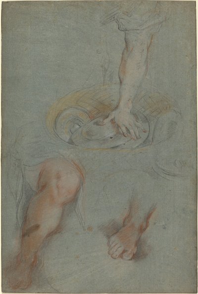 Estudos para um servo em "A Última Ceia" de Federico Barocci