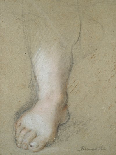 Estudo de um pé, final do século 16 de Federico Barocci