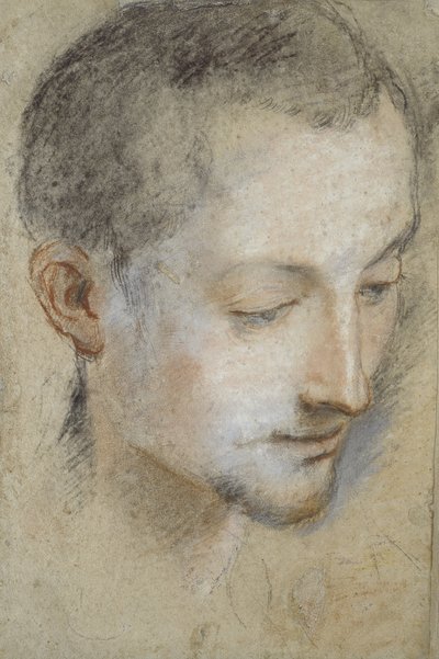 Estudo da cabeça de um jovem (giz preto, vermelho e rosa em papel acinzentado) de Federico Barocci