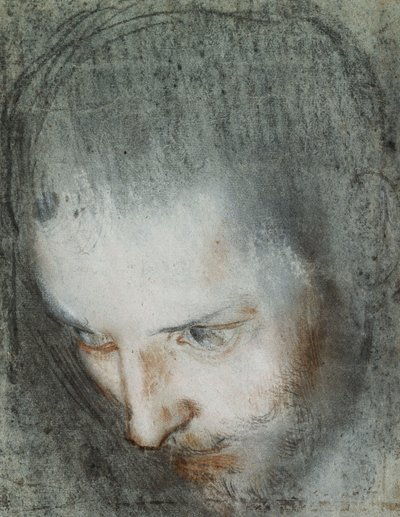 Cabeça de São Francisco, olhando de cima para a esquerda, de Federico Fiori Barocci or Baroccio