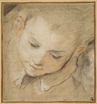 A cabeça de um rapaz a olhar para baixo de Federico Fiori Barocci or Baroccio