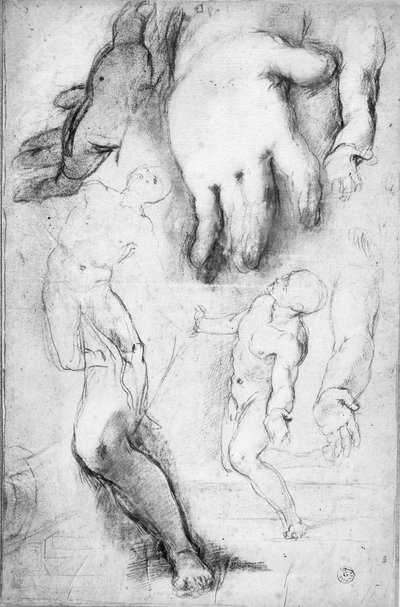Estudo para a figura de São Francisco (giz no papel) de Federico Fiori Barocci or Baroccio