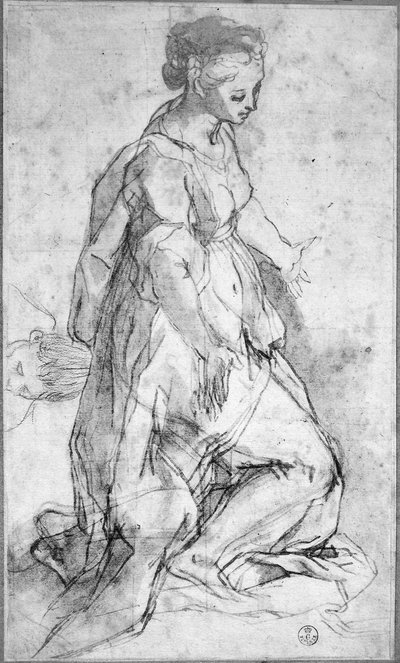 Estudo para a figura da Virgem (giz preto e caneta e tinta com a lavagem no papel) de Federico Fiori Barocci or Baroccio