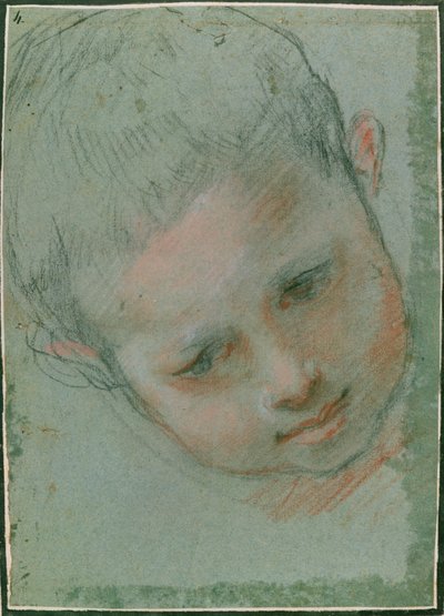 The Head of a Boy, c.1586-89 preto, vermelho, branco e giz em tons de carne) de Federico Fiori Barocci or Baroccio
