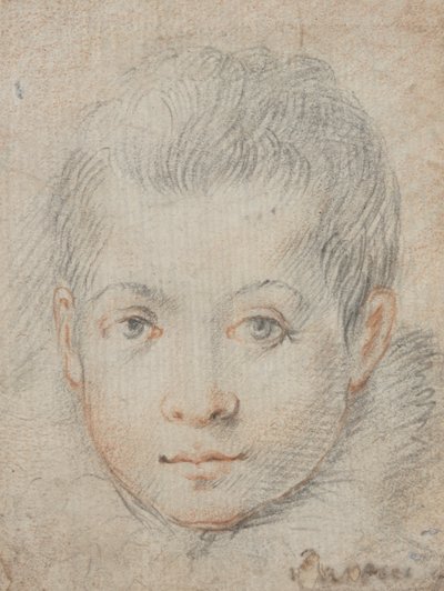 Chefe de um menino de Federico Zuccaro