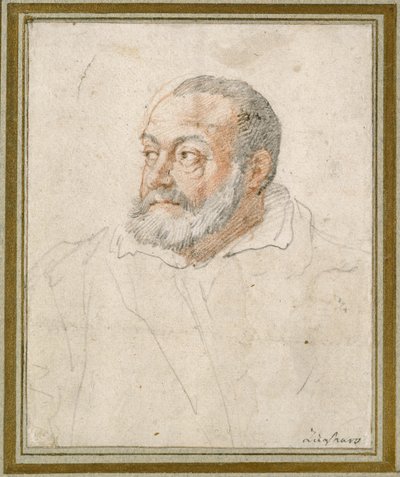 Retrato de um homem (giz vermelho e preto no papel) de Federico Zuccaro