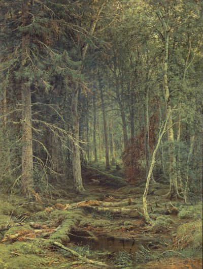 Pântano na floresta, outono, 1872 de Fedor Aleksandrovich Vasiliev