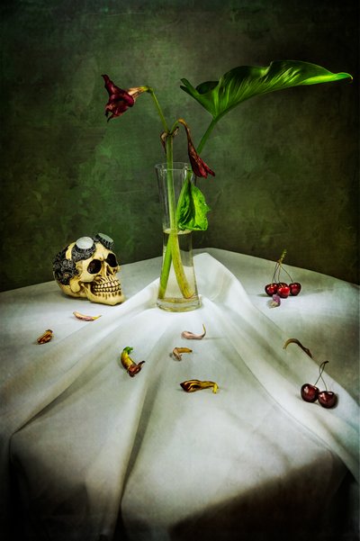 Crânio gótico Vanitas de Felice Angelino