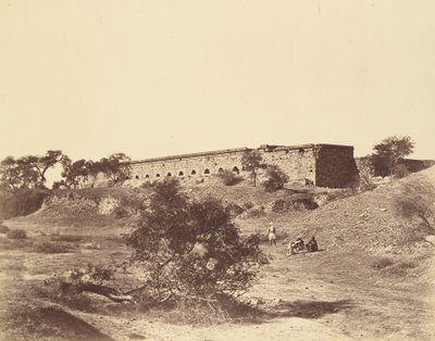 Metcalfe Stables Picquet de Felice Beato