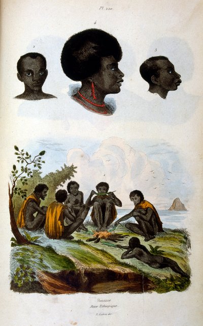 Ilustração antropológica que representa a raça etíope de Felix-Edouard Guerin