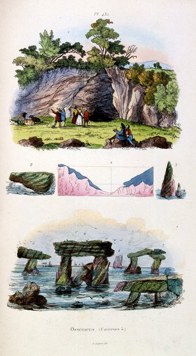 Ilustração botânica e zoológica de F. E. Guerin. De Dictionnaire pittoresque d