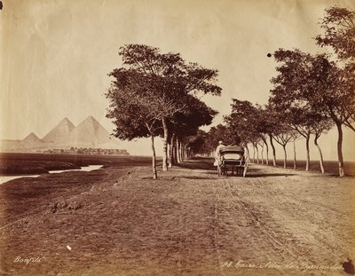Cairo. Beco da Pirâmide de Félix Bonfils