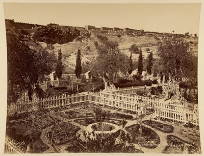 Jardim do Getsémani de Félix Bonfils