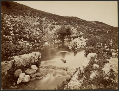 A fonte de Eliseu, Palestina de Félix Bonfils