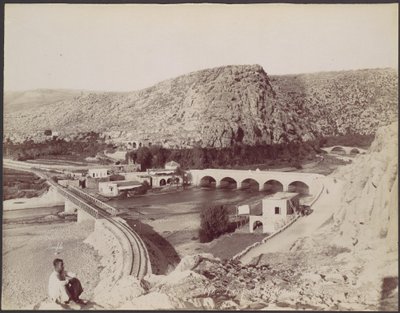 As pontes das flores de corniso de Félix Bonfils