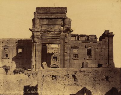 Restos do Templo do Sol em Palmyra, Síria de Félix Bonfils
