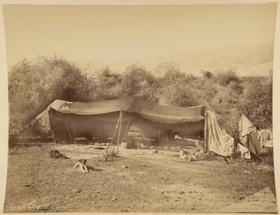 Tenda de beduínos nómadas, Palestina de Félix Bonfils