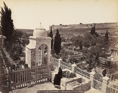 Vista do jardim do Getsêmani ou do Olive Orchard, no qual, segundo a tradição, Cristo passou os últimos dias da sua vida. de Félix Bonfils