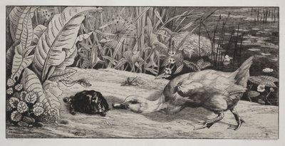 Um desconhecido de Felix Bracquemond