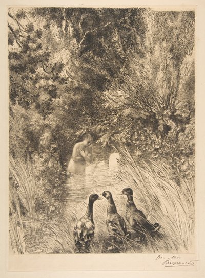 Patos surpresos, 1882. de Felix Bracquemond