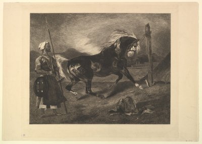 Cavalo árabe com estaca, depois de Delacroix, 1857. de Felix Bracquemond