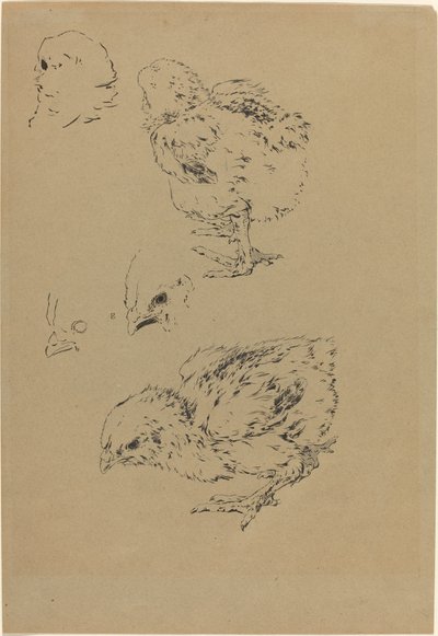 Garotas de Felix Bracquemond