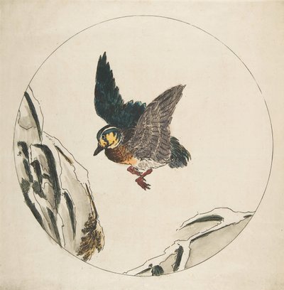 Decoração para um prato: um pato voando sobre galhos cobertos de neve, 1850-1914. de Felix Bracquemond