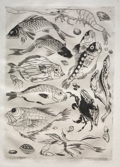 Serviço de Jantar (serviço Rousseau): Peixe (nº 24) de Felix Bracquemond